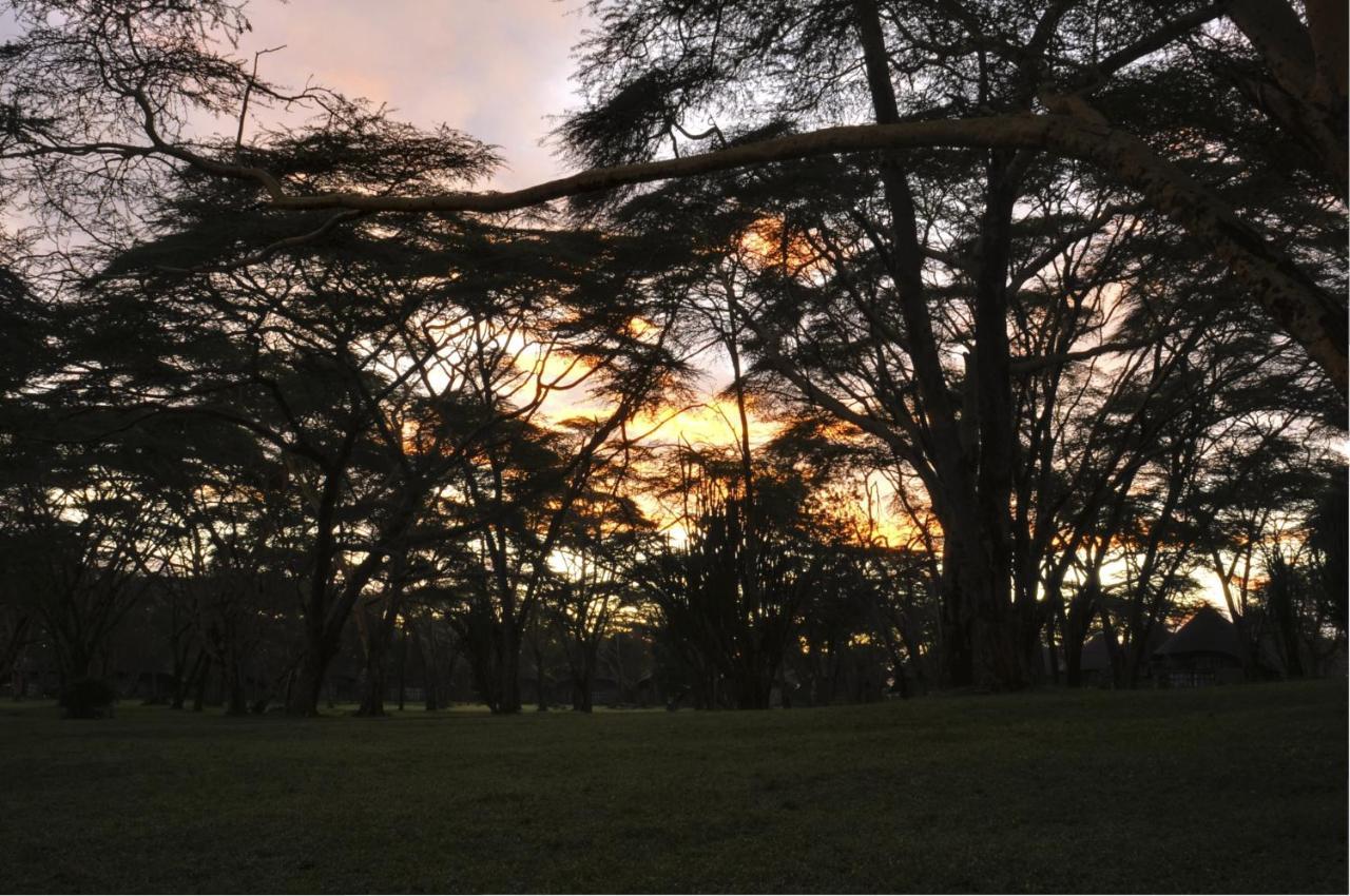 Lake Naivasha Sopa Resort Exteriér fotografie