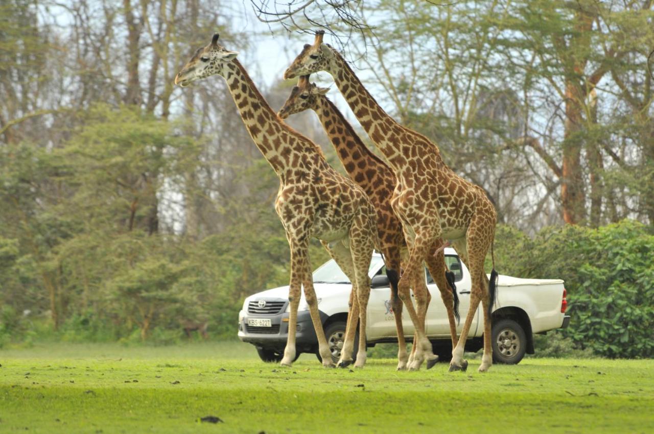 Lake Naivasha Sopa Resort Exteriér fotografie